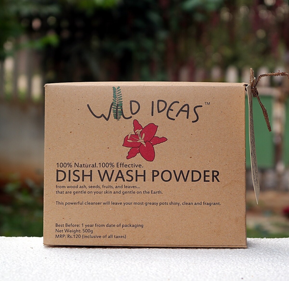 Dishwash Powder